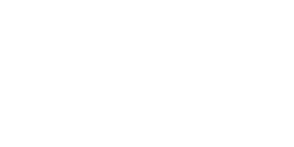Hanns Voith Stiftung
