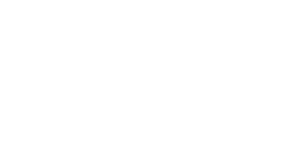 Max Liebhaber Werk